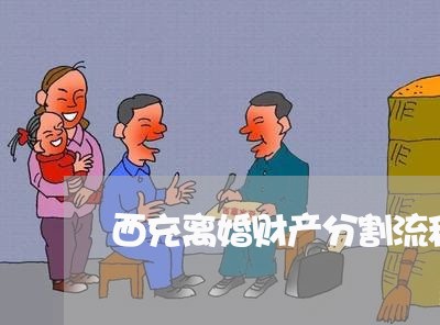 西充离婚财产分割流程/2023111409831