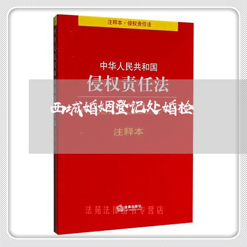 西城婚姻登记处婚检/2023112795926