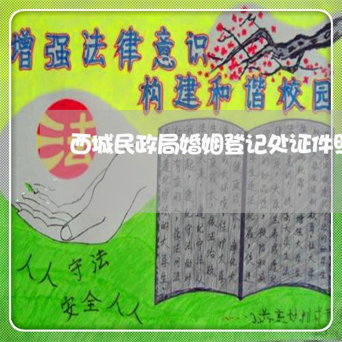 西城民政局婚姻登记处证件照/2023112773714