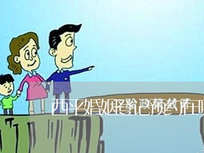 西平婚姻登记预约在哪里/2023112736250