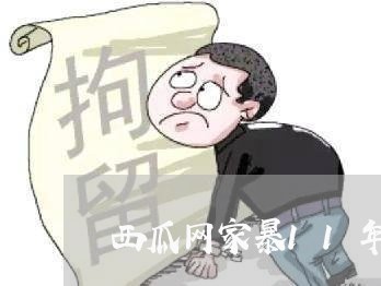 西瓜网家暴11年/2023100695827