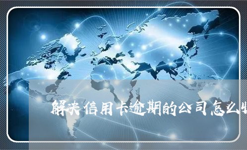 解决信用卡逾期的公司怎么收费的/2023091429251