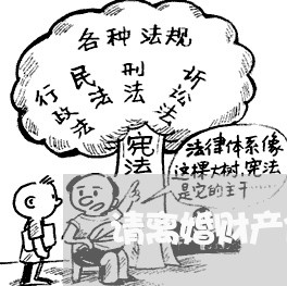 请离婚财产保全律师/2023110598069