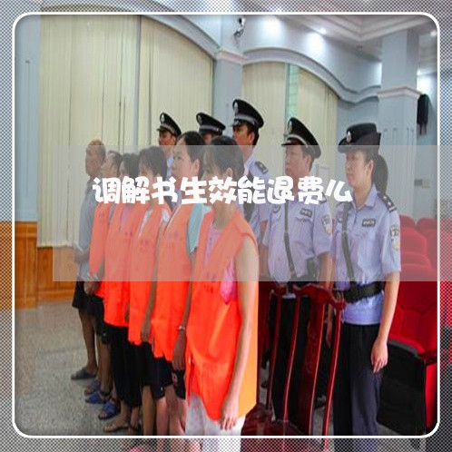 调解书生效能退费么/2023061036068