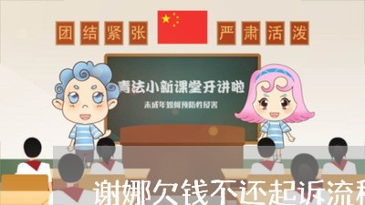 谢娜欠钱不还起诉流程图/2023092839149