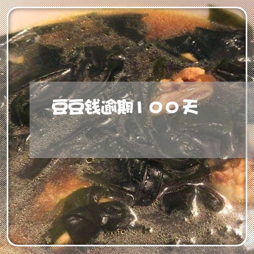 豆豆钱逾期100天/2023062987361