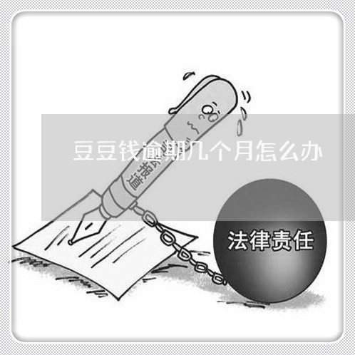 豆豆钱逾期几个月怎么办/2023062204138