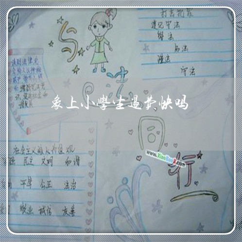 象上小学生退费快吗/2023061029359