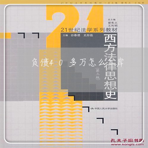 负债40多万怎么上岸/2023080557484