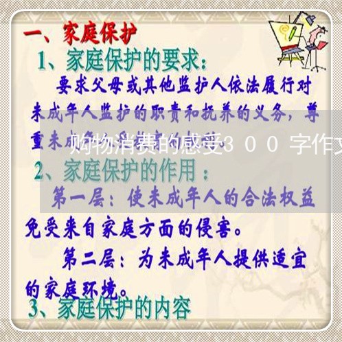 购物消费的感受300字作文/2023040406148