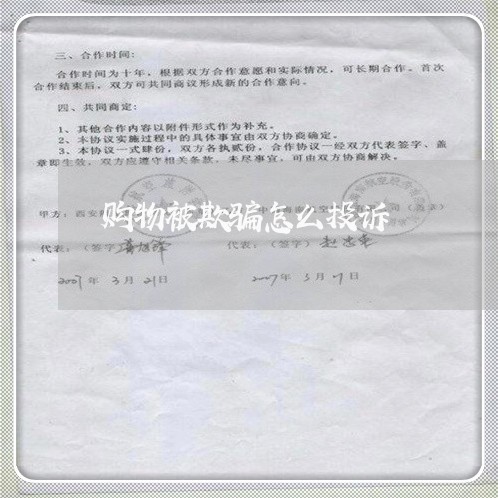 购物被欺骗怎么投诉/2023040135049