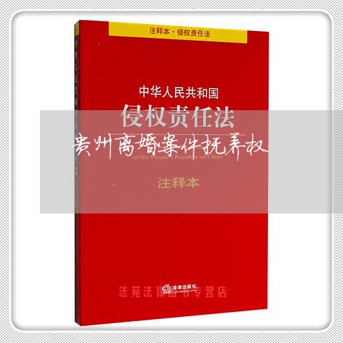 贵州离婚案件抚养权/2023111563827