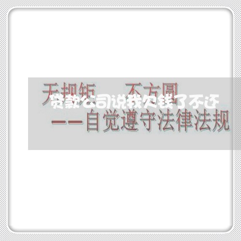 贷款公司说我欠钱了不还/2023092082614