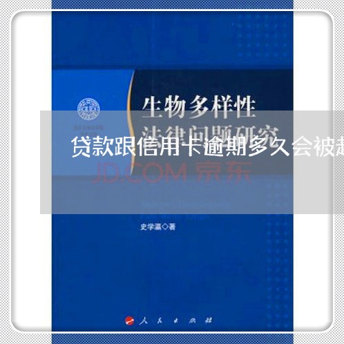 贷款跟信用卡逾期多久会被起诉呢/2023111857491