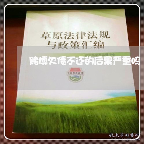 赌博欠债不还的后果严重吗/2023092228471