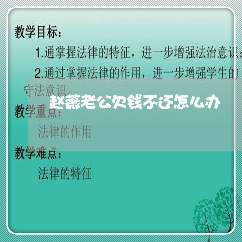 赵薇老公欠钱不还怎么办/2023112794928