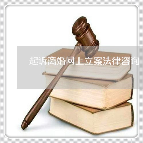 起诉离婚网上立案法律咨询/2023111416048