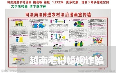 越南老挝婚姻诈骗/2023112500590