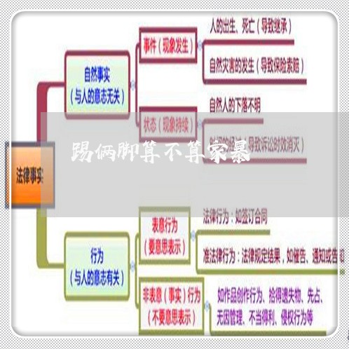 踢俩脚算不算家暴/2023101620360