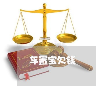 车置宝欠钱/2023121652714