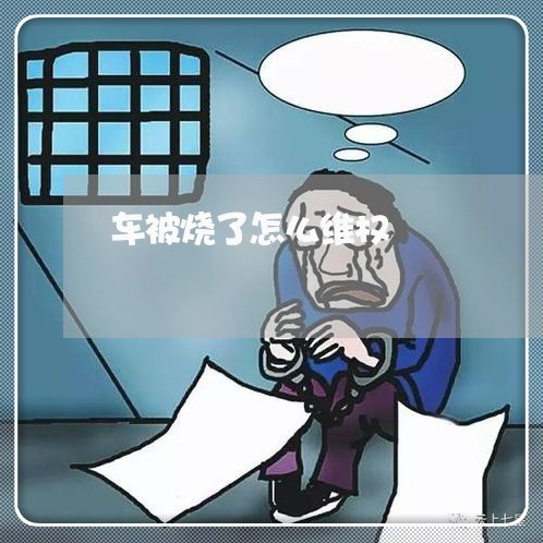 车被烧了怎么维权/2023043027369