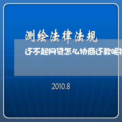 还不起网贷怎么协商还款呢视频/2023100648392