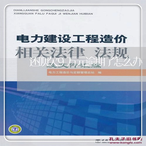 还呗欠9万元逾期了怎么办/2023061518464