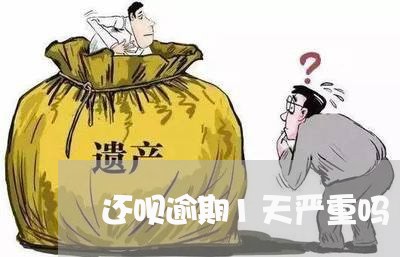 还呗逾期1天严重吗/2023073093949