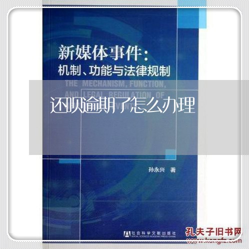 还呗逾期了怎么办理/2023060865826