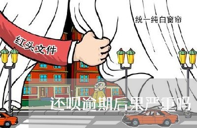 还呗逾期后果严重吗/2023073096270