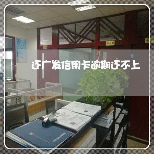 还广发信用卡逾期还不上/2023111883827