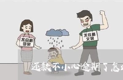 还款不小心逾期了怎么办/2023061720405