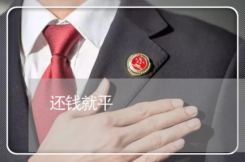 还钱就平/2023120661914