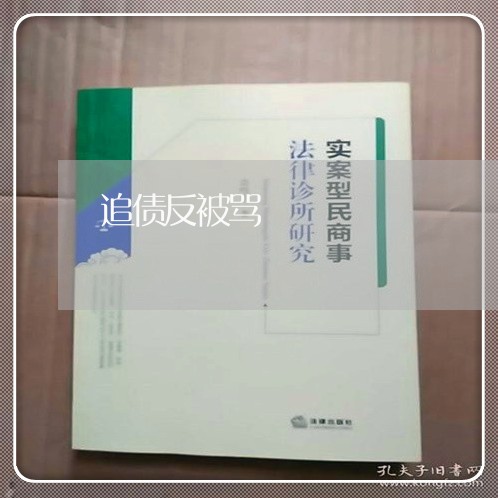 追债反被骂/2023121723805