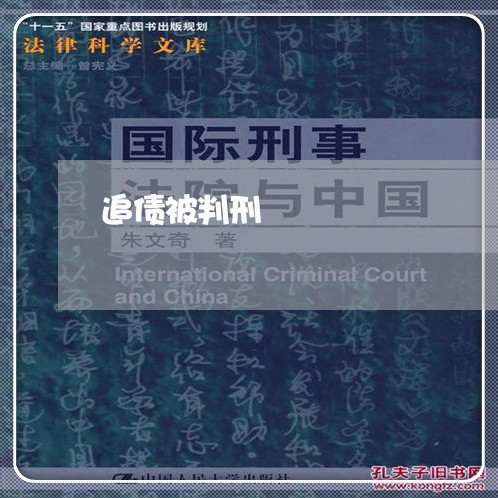 追债被判刑/2023121718249