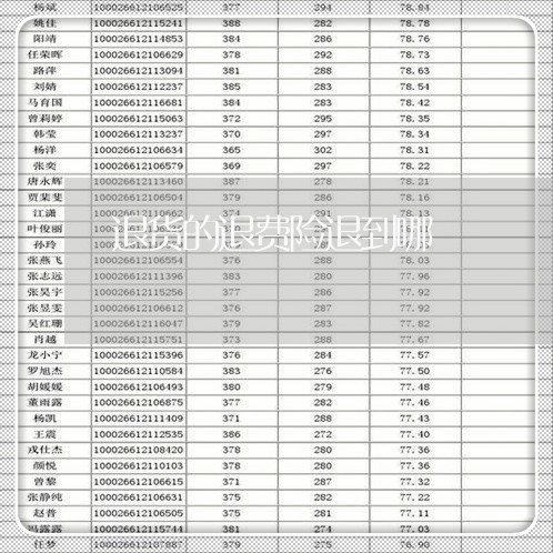 退货的退费险退到哪/2023061262413