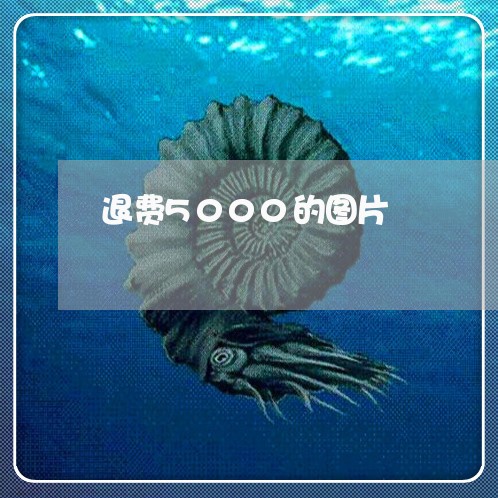 退费5000的图片/2023052541614