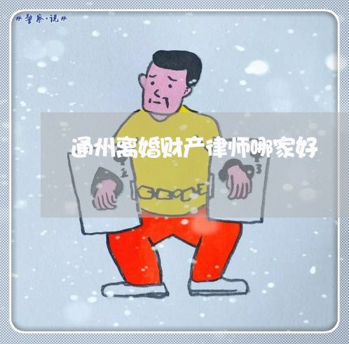 通州离婚财产律师哪家好/2023111562581