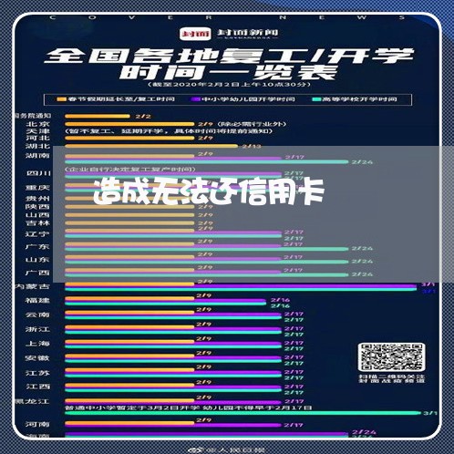 造成无法还信用卡/2023072258394