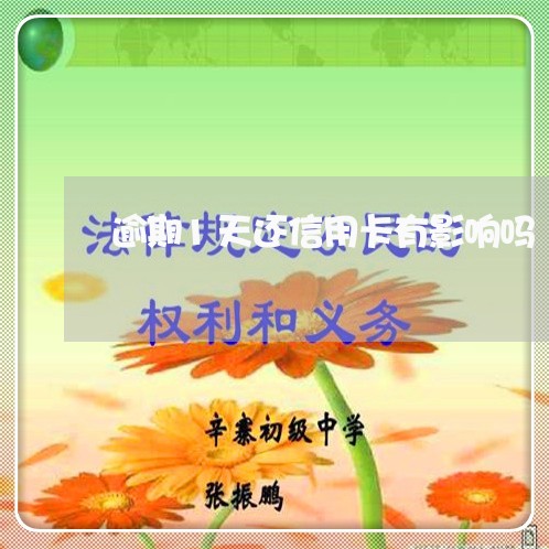 逾期1天还信用卡有影响吗/2023071488240