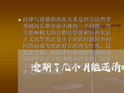 逾期了几个月能还清吗信用卡/2023091571693