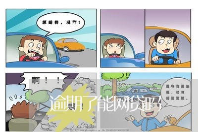 逾期了能网贷吗/2023110701604