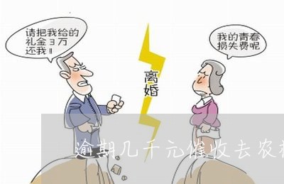 逾期几千元催收去农村上门/2023052794827