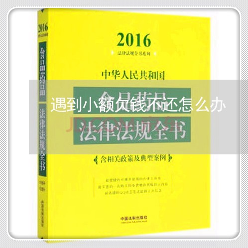 遇到小额欠钱不还怎么办/2023110394916