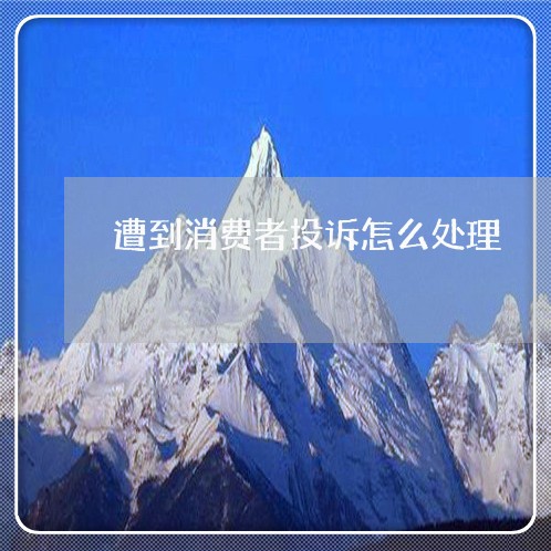 遭到消费者投诉怎么处理/2023032182925