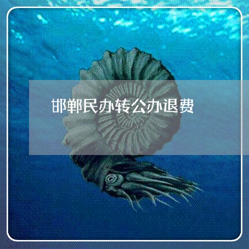 邯郸民办转公办退费/2023052005147