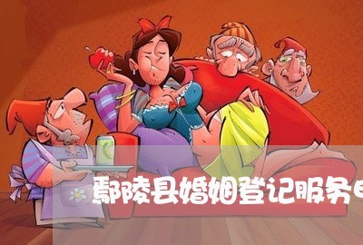 鄢陵县婚姻登记服务电话/2023081708292