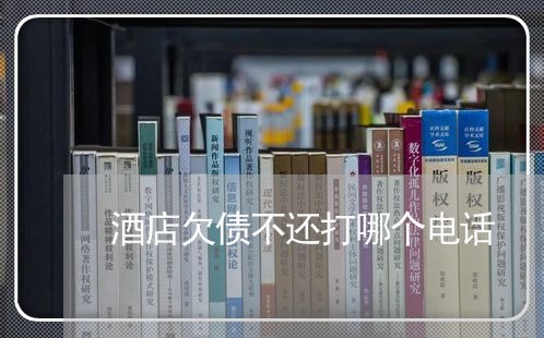 酒店欠债不还打哪个电话/2023102582706