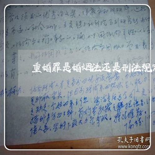 重婚罪是婚姻法还是刑法规定的/2023081358179