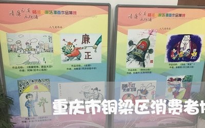 重庆市铜梁区消费者协会/2023062728571